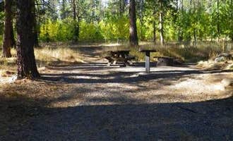 Camping near Gold Ranch Casino and RV Resort: Lookout Campground, Verdi, California