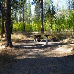 Public Campgrounds: Lookout Campground