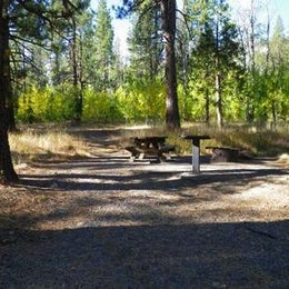 Public Campgrounds: Lookout Campground