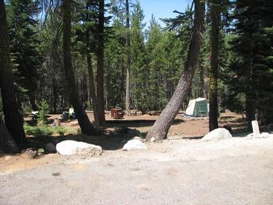 Camper submitted image from Loon Lake - 1
