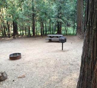 Camper-submitted photo from Tahoe Donner Campground