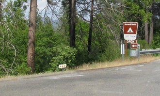 Camping near Lumsden Bridge Campground: Stanislaus National Forest Lost Claim Campground, Groveland, California