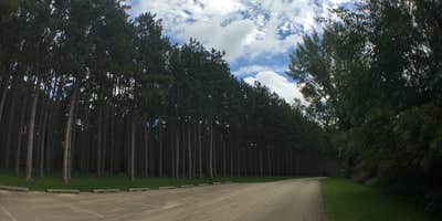 Roads