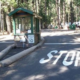Public Campgrounds: Lower Pines Campground — Yosemite National Park