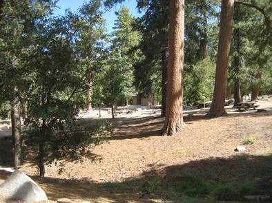 Camper-submitted photo at Marion Mountain near San Jacinto, CA