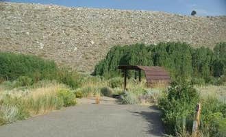 Camping near Browns Owens River Campground: Mcgee Creek, Toms Place, California