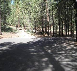Camper-submitted photo from Mt. Pinos Campground