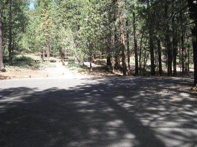 Camper submitted image from Mcgill Campground And Group Campground - 3