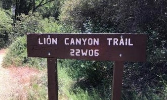 Middle Lion Campground