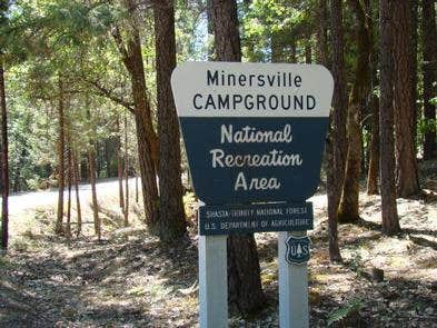 Pinewood Cove Resort on Trinity Lake Camping | Weaverville, California