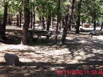 Mountain Oak The Dyrt