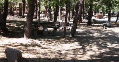 Mountain Oak The Dyrt Mountain Oak The Dyrt