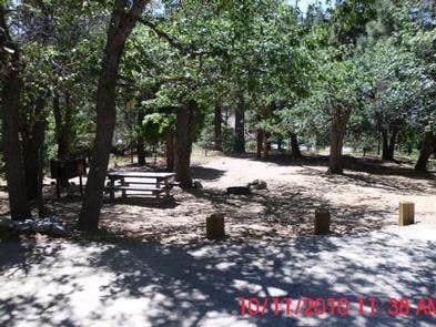 Mountain Oak The Dyrt