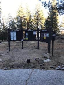 Camper submitted image from Mt. Pinos Campground - 3