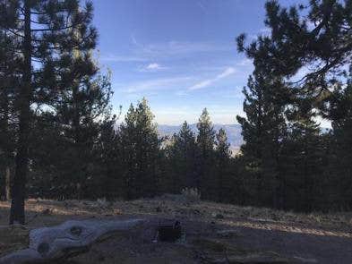 Camper submitted image from Mt. Pinos Campground - 1