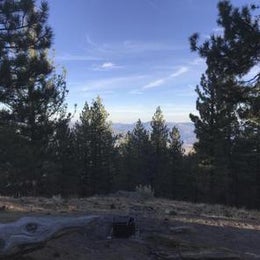 Public Campgrounds: Mt. Pinos Campground