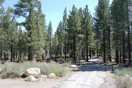 Camper submitted image from New Shady Rest Campground - 2