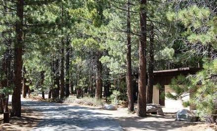 Old Shady Rest Campground | Mammoth lakes, CA
