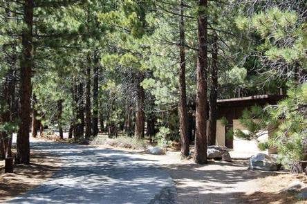 New Shady Rest Campground | Mammoth Lakes, CA