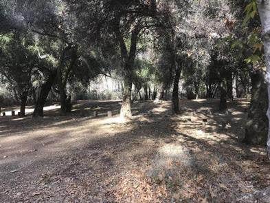Camper submitted image from Nira Campground - 1