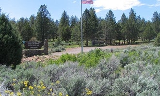 Camping near Biscar Reservoir: North Eagle Lake Campground, Susanville, California