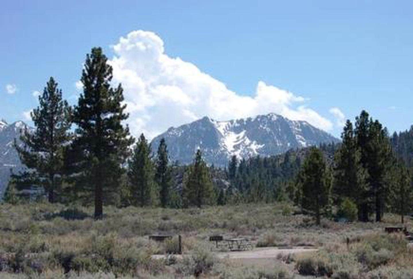 Camper submitted image from Inyo National Forest Oh Ridge Campground - 2