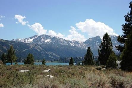 Camper submitted image from Inyo National Forest Oh Ridge Campground - 1