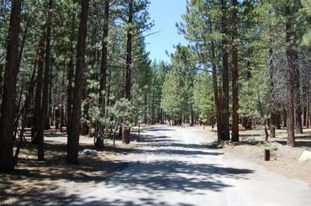 Camper submitted image from Old Shady Rest Campground - 5