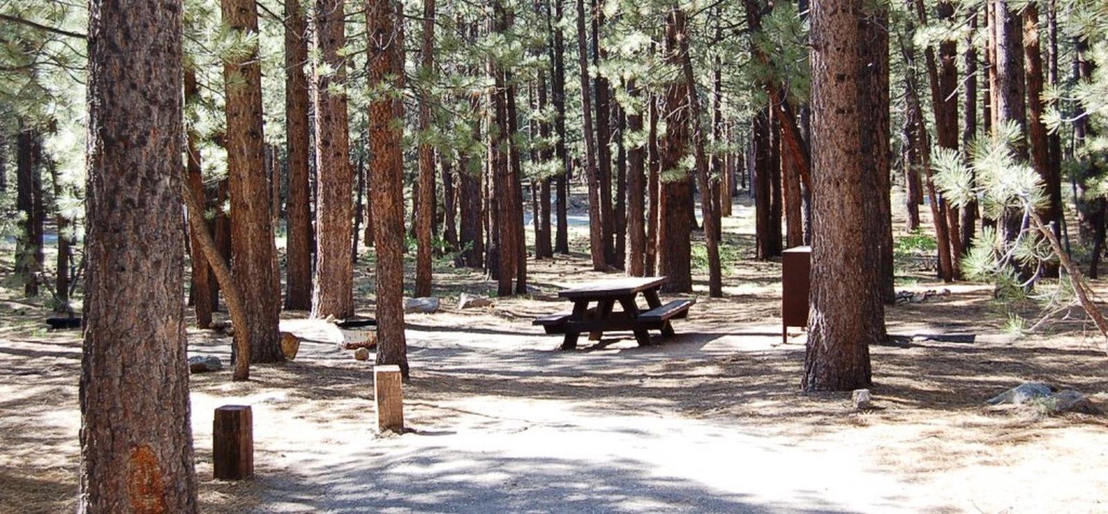 Camper submitted image from Old Shady Rest Campground - 1