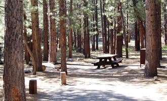 Camping near Lake George Campground: Old Shady Rest Campground, Mammoth Lakes, California