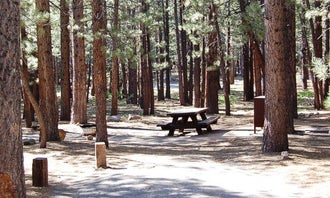 Camping near Sherwin Creek: Old Shady Rest Campground, Mammoth Lakes, California