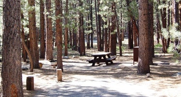 Old Shady Rest Campground