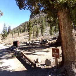Public Campgrounds: Onion Valley