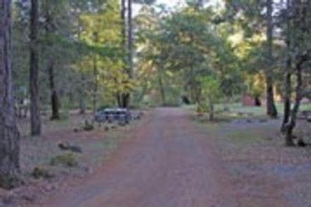 Camper submitted image from Pearch Creek Campground - 1