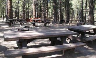 Camping near Coldwater Campground: Pine Glen, Mammoth Lakes, California