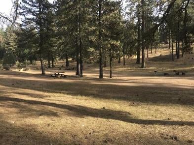 Camper submitted image from Pine Mountain Campground - 2