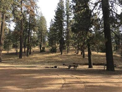 Camper submitted image from Pine Mountain Campground - 5