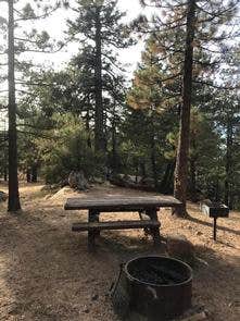 Camper submitted image from Pine Mountain Campground - 5