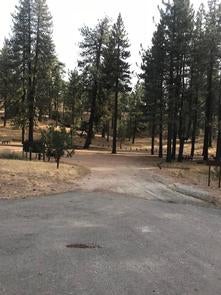 Camper submitted image from Pine Mountain Campground - 1