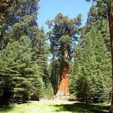 Public Campgrounds: Potwisha Campground — Sequoia National Park
