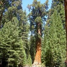 Public Campgrounds: Potwisha Campground — Sequoia National Park