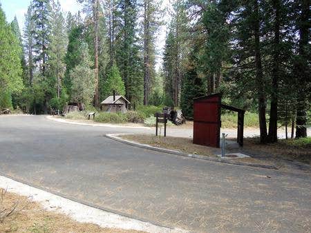 Camper submitted image from Princess - 5
