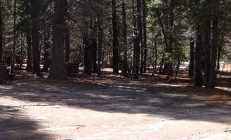 Camping near Agnew Meadows Group Camp: Pumice Flat Group Camp, Mammoth Lakes, California