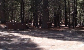 Camping near Devils Postpile National Monument: Pumice Flat Group Camp, Mammoth Lakes, California