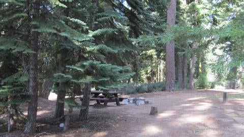 Camper submitted image from Sequoia National Forest Quaking Aspen Campground - 2