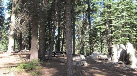Camper submitted image from Sequoia National Forest Quaking Aspen Campground - 4