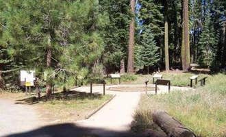 Camping near Peppermint Campground: Sequoia National Forest Quaking Aspen Campground, Camp Nelson, California