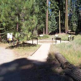 Public Campgrounds: Sequoia National Forest Quaking Aspen Campground