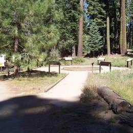 Public Campgrounds: Sequoia National Forest Quaking Aspen Campground