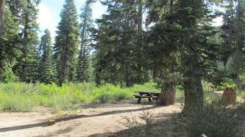 Camper submitted image from Sequoia National Forest Quaking Aspen Campground - 4